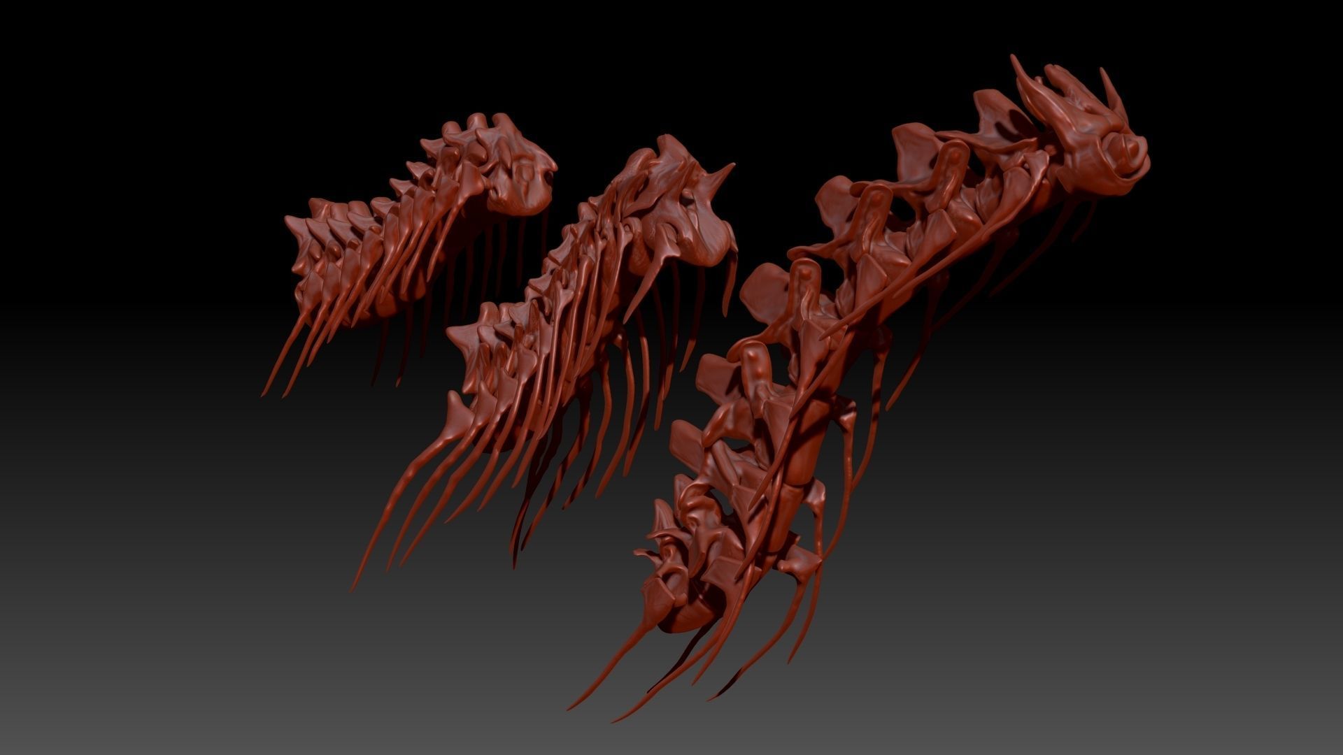 Dinosaur Spinosaurus Tyrannosaurus Giganotosaurus Neck Skeletons 3D model_1