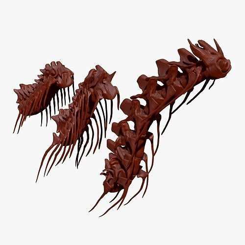 Spinosaurus - Tyrannosaurus - Giganotosaurus Neck Skeletons Set 3D model