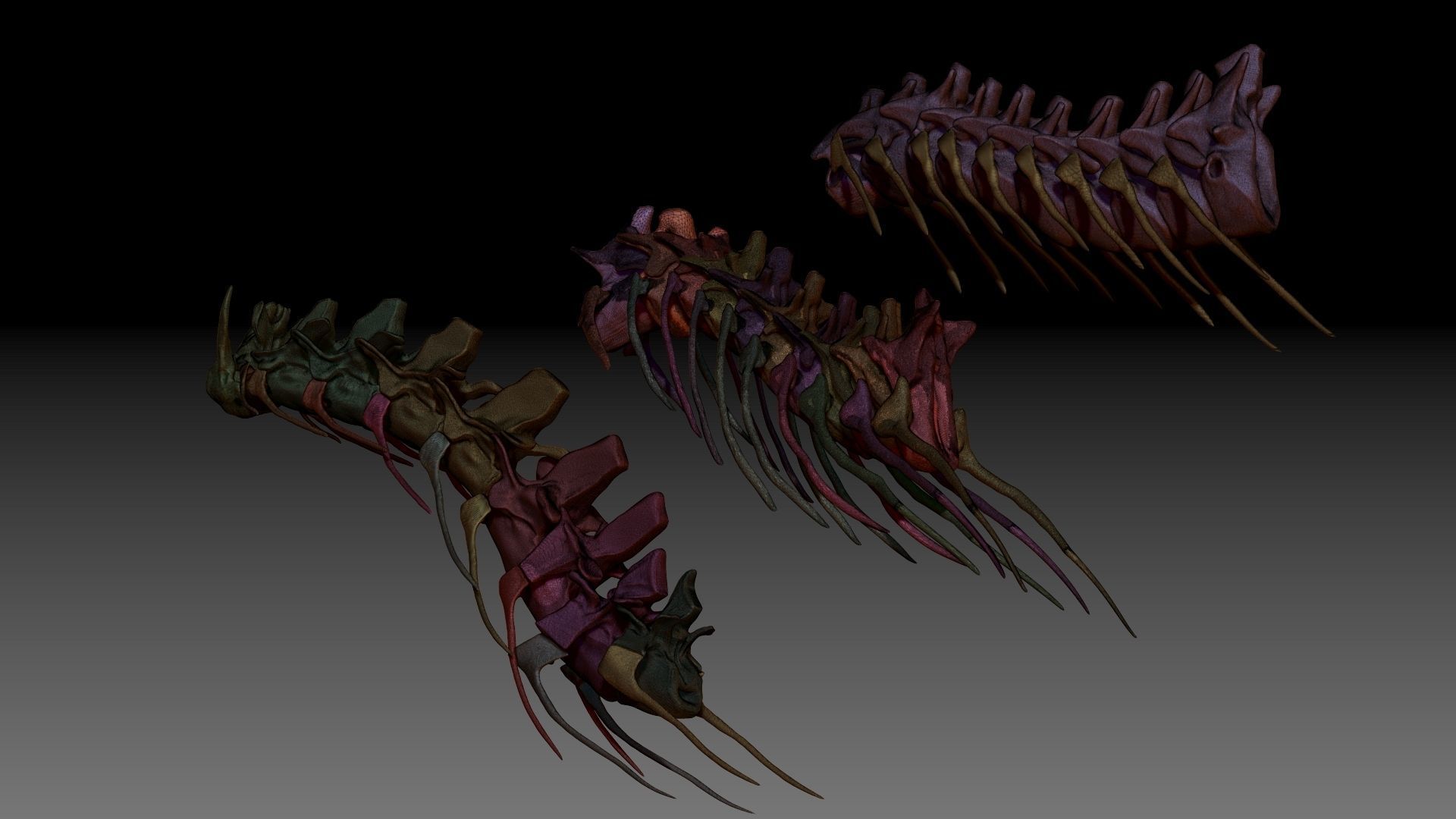 Dinosaur Spinosaurus Tyrannosaurus Giganotosaurus Neck Skeletons 3D model_4