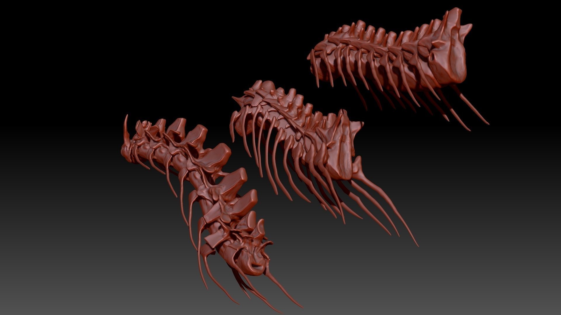 Dinosaur Spinosaurus Tyrannosaurus Giganotosaurus Neck Skeletons 3D model_3