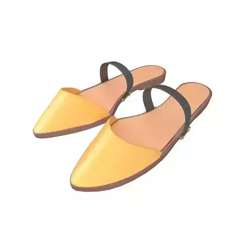 Pointed Flat Shoes v1 001