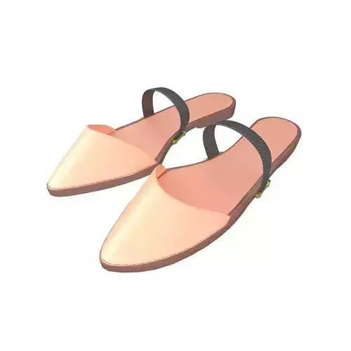 Pointed Flat Shoes v1 002