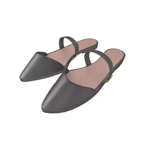 Pointed Flat Shoes v1 003