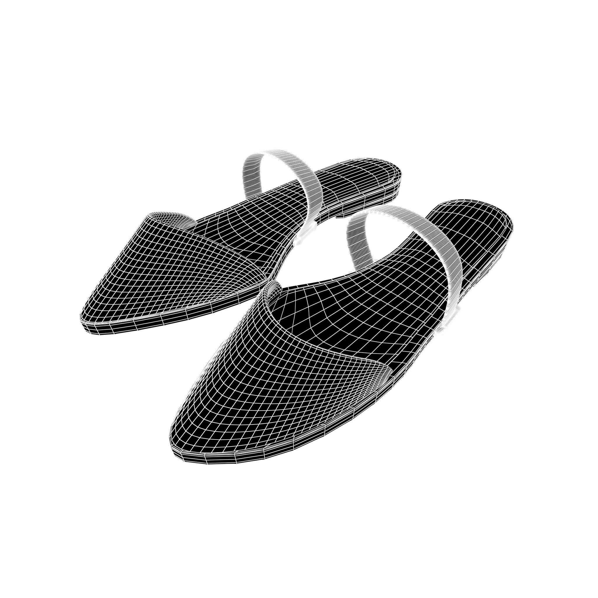 Pointed Flat Shoes v1 003 Low-poly 3D model_4