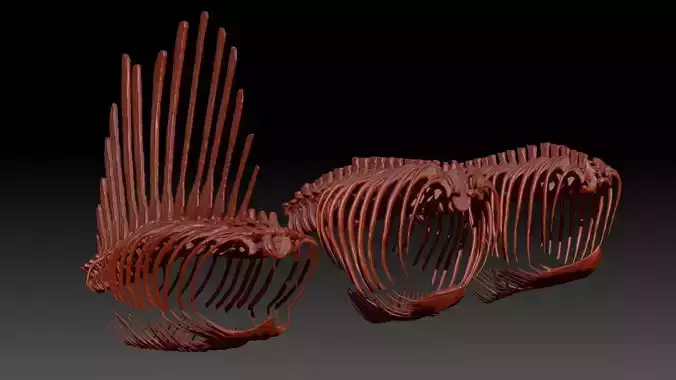 Dinosaur Spinosrs Tyrannosaurus Giganotosaurus SpineRib Skeltons 3D model
