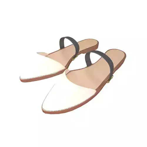 Pointed Flat Shoes v1 004
