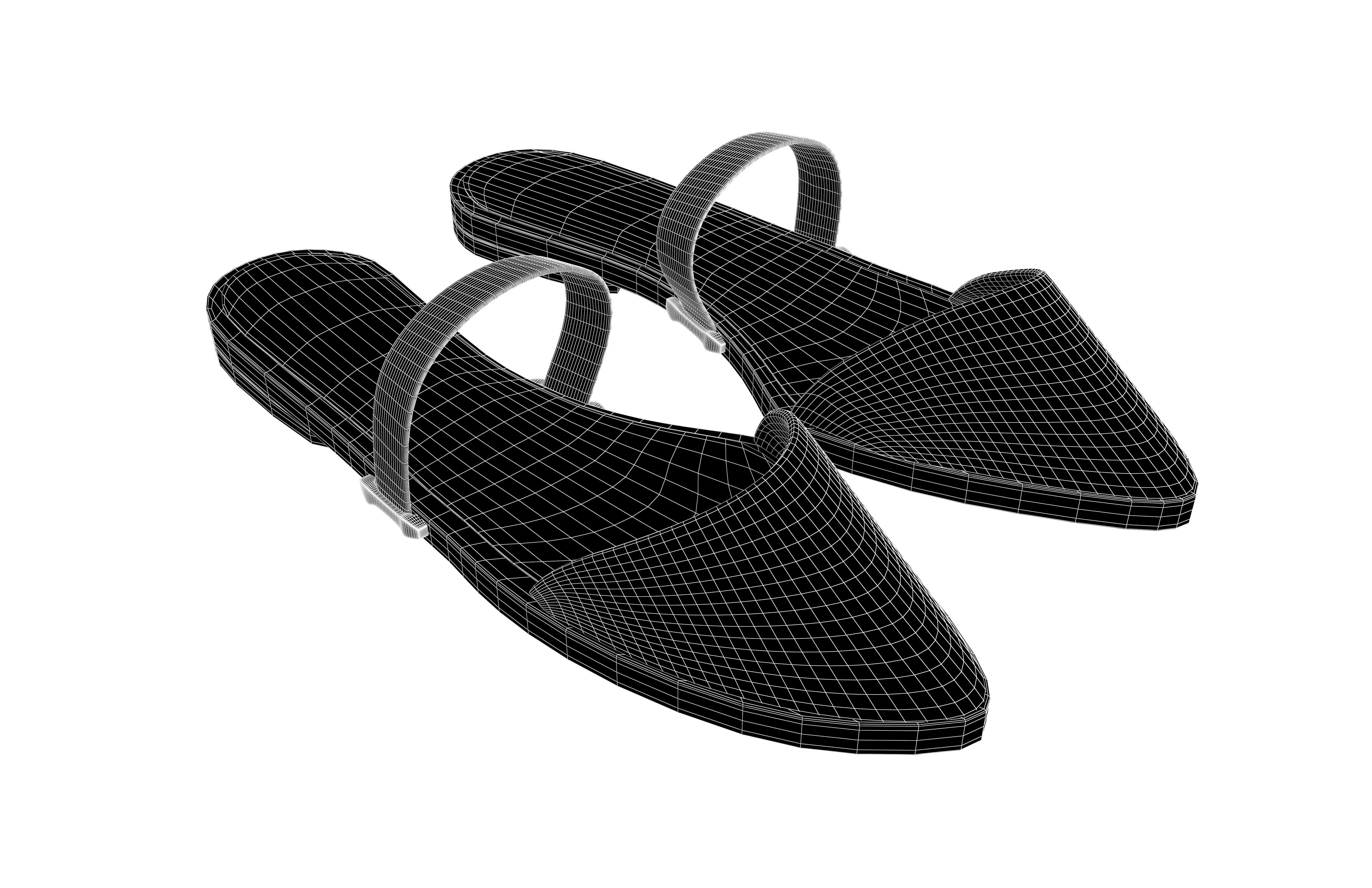Pointed Flat Shoes v1 005 Low-poly 3D model_4