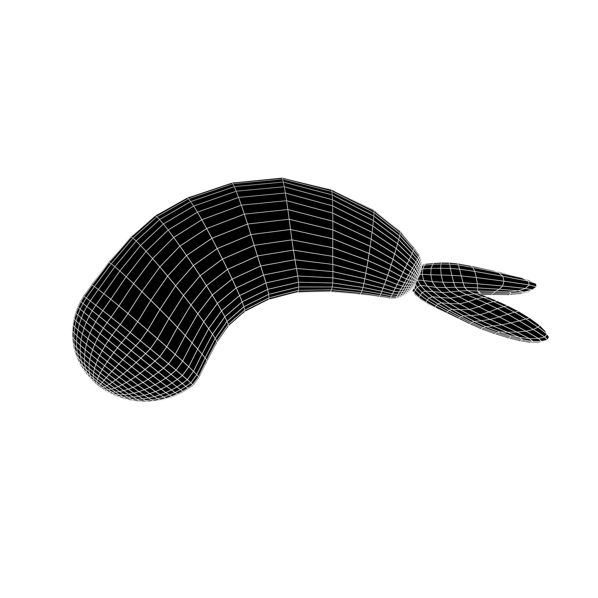 Fried Shrimp V1 002 Low-poly 3D model_5