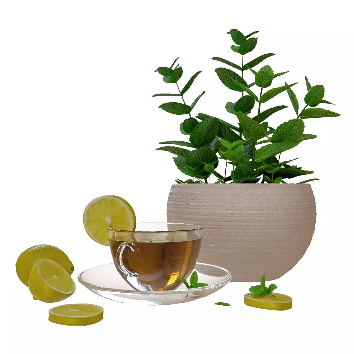 Decorative set tea cup with lemon slices and plant 3D model