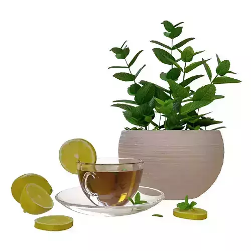 Decorative set tea cup with lemon slices and plant