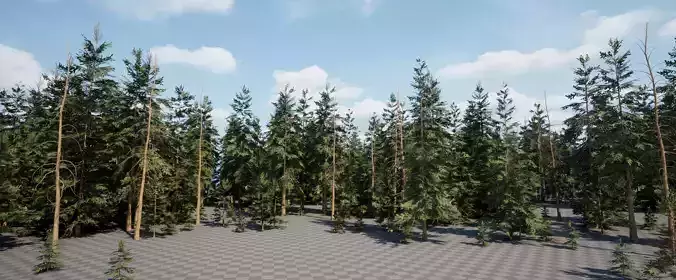 Realistic Spruce Trees Low-poly 3D model