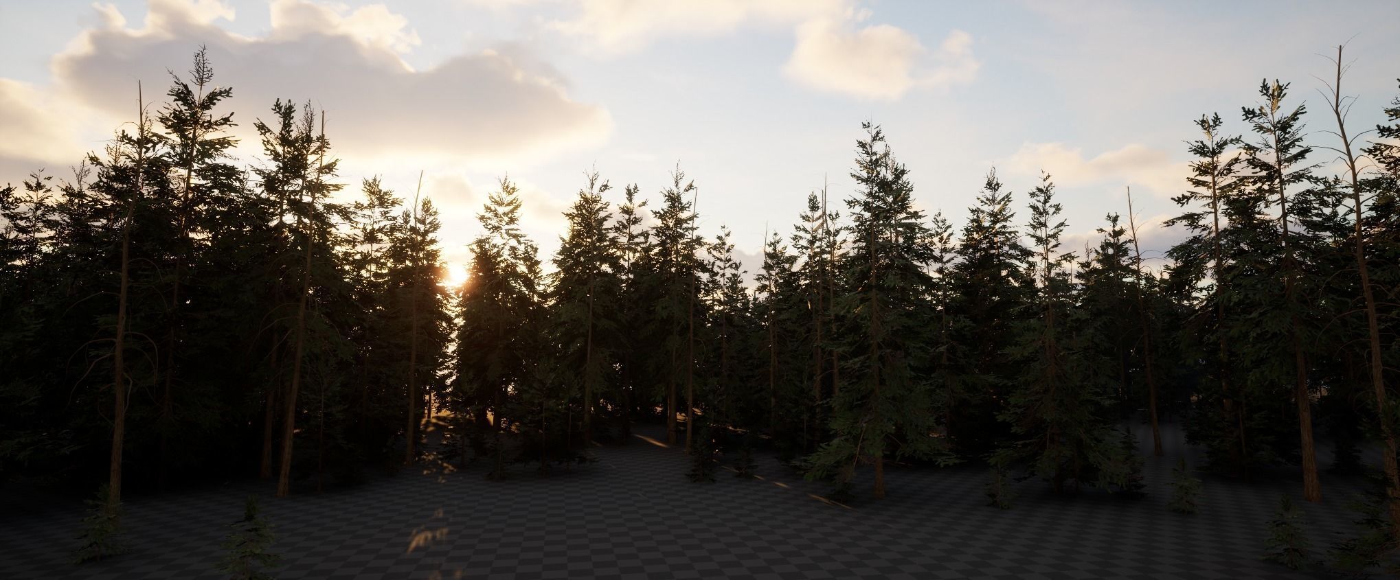 3D model Realistic Spruce Trees VR / AR / low-poly | CGTrader