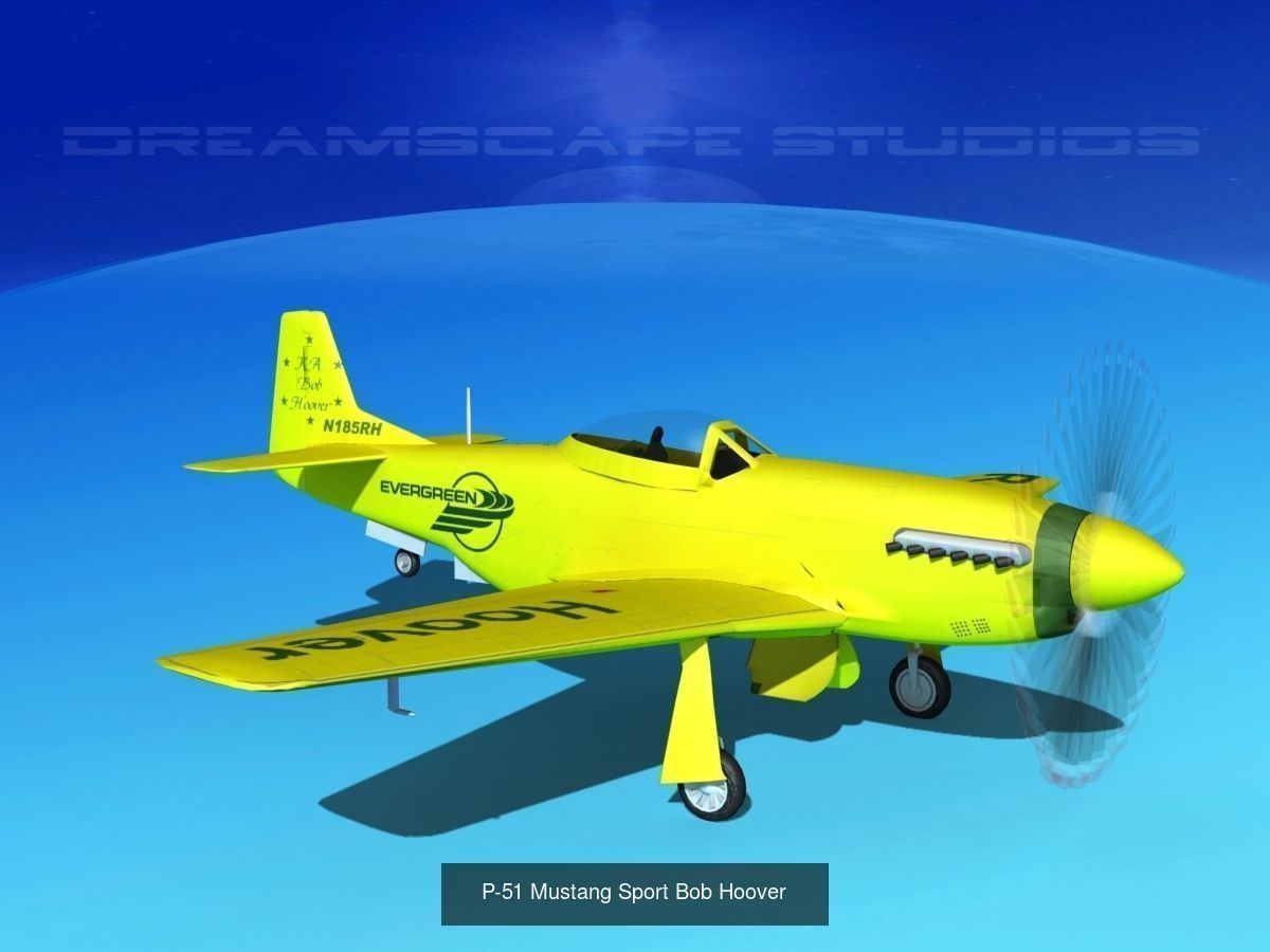 18 Mustang P-51 Air Racers 3D Model Collection_9