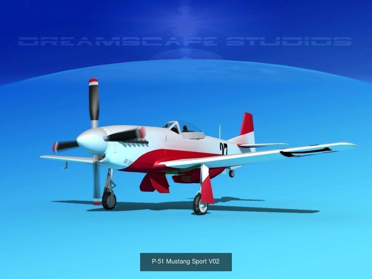 18 Mustang P-51 Air Racers 3D Model Collection_12