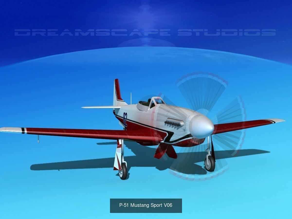 18 Mustang P-51 Air Racers 3D Model Collection_16