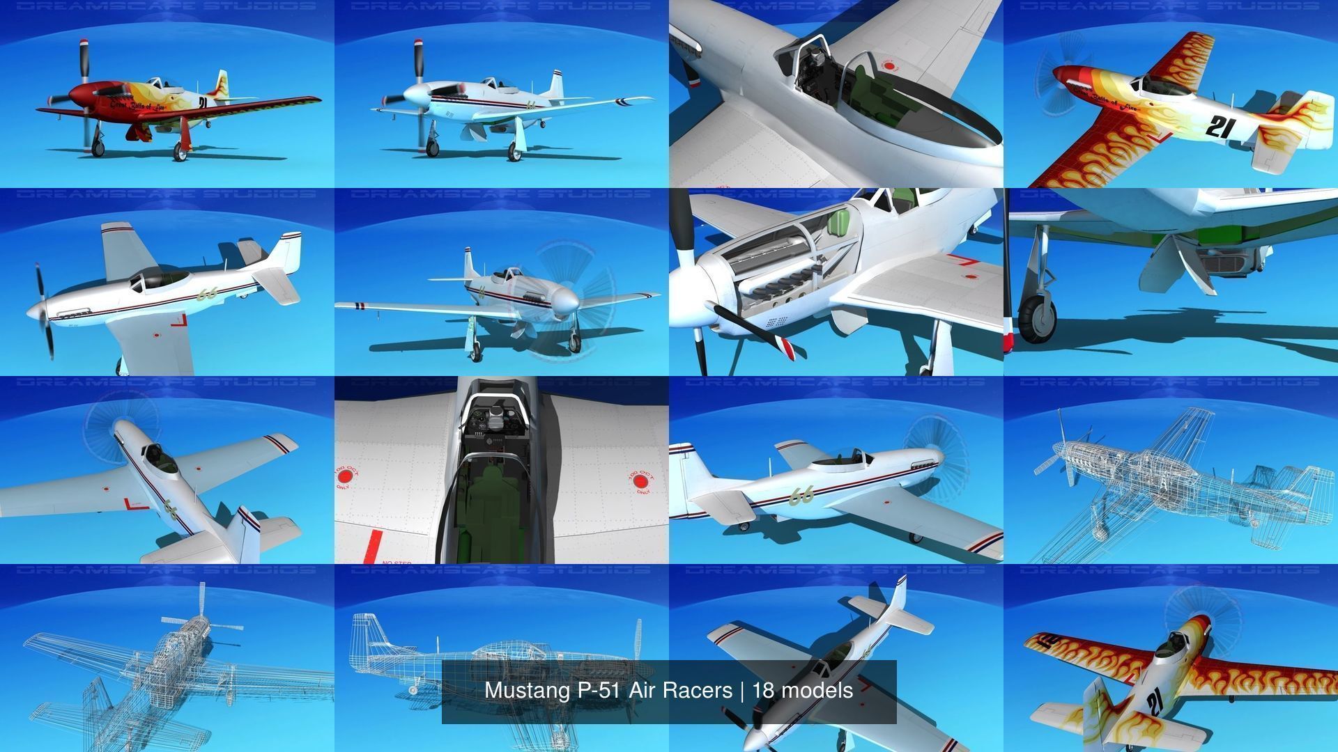 18 Mustang P-51 Air Racers 3D Model Collection_3