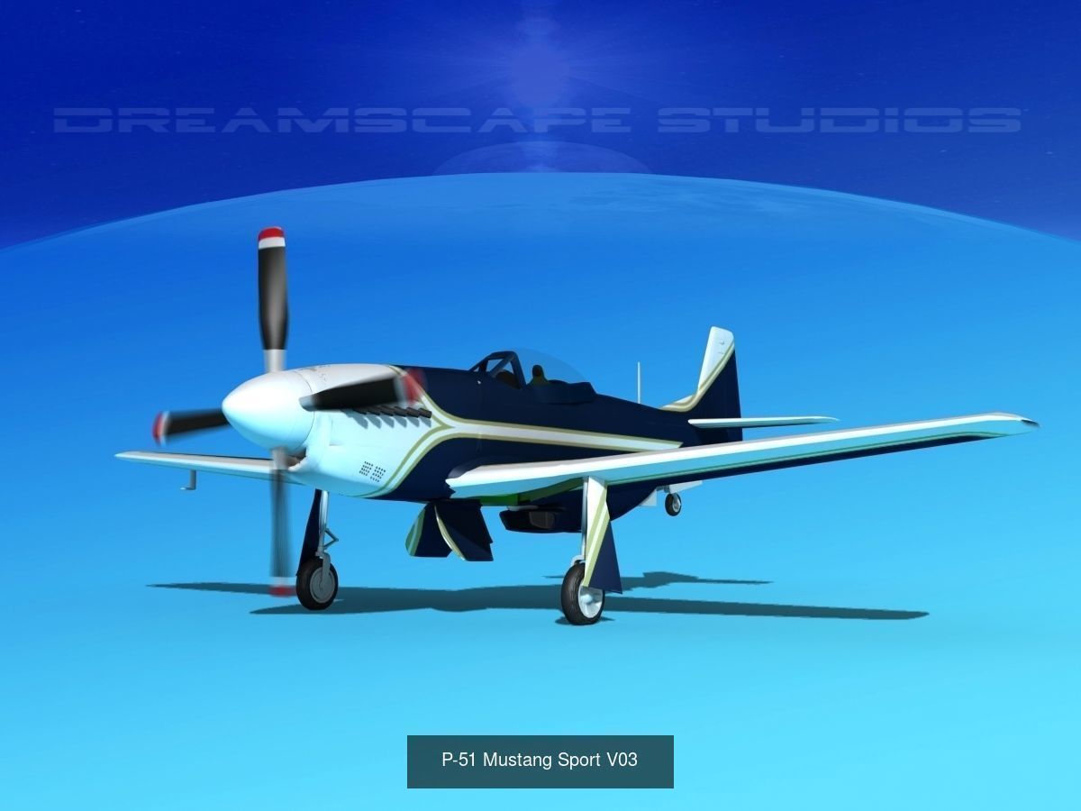 18 Mustang P-51 Air Racers 3D Model Collection_13