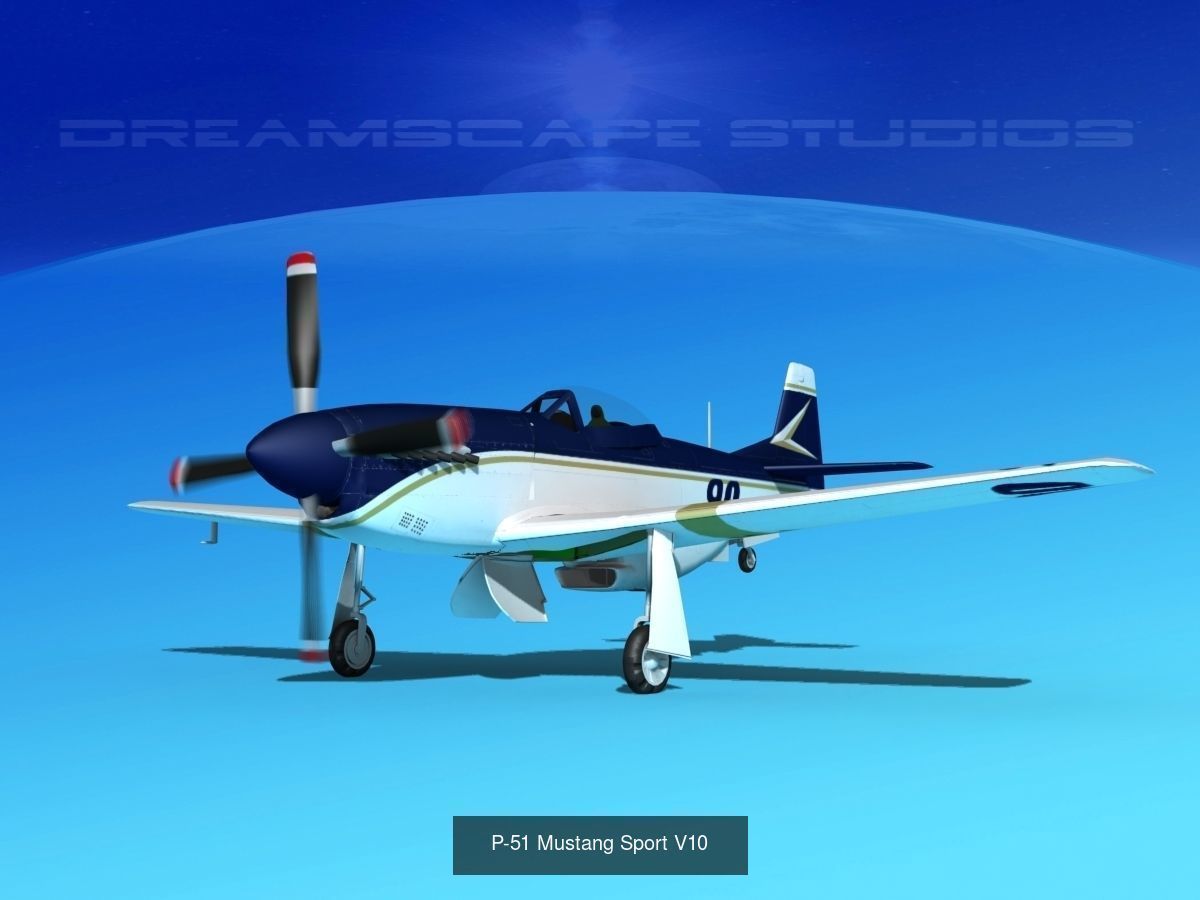 18 Mustang P-51 Air Racers 3D Model Collection_19