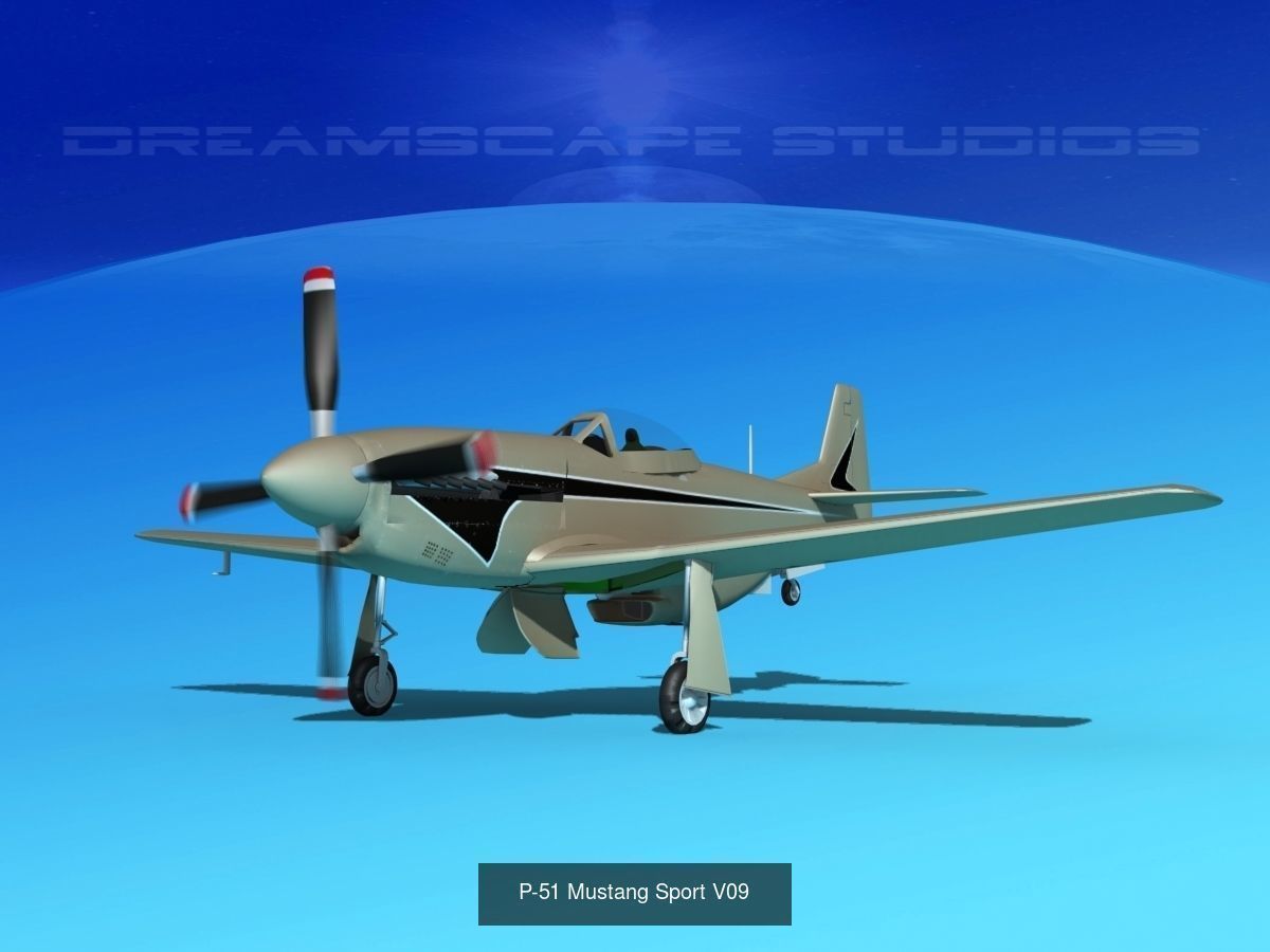 18 Mustang P-51 Air Racers 3D Model Collection_18