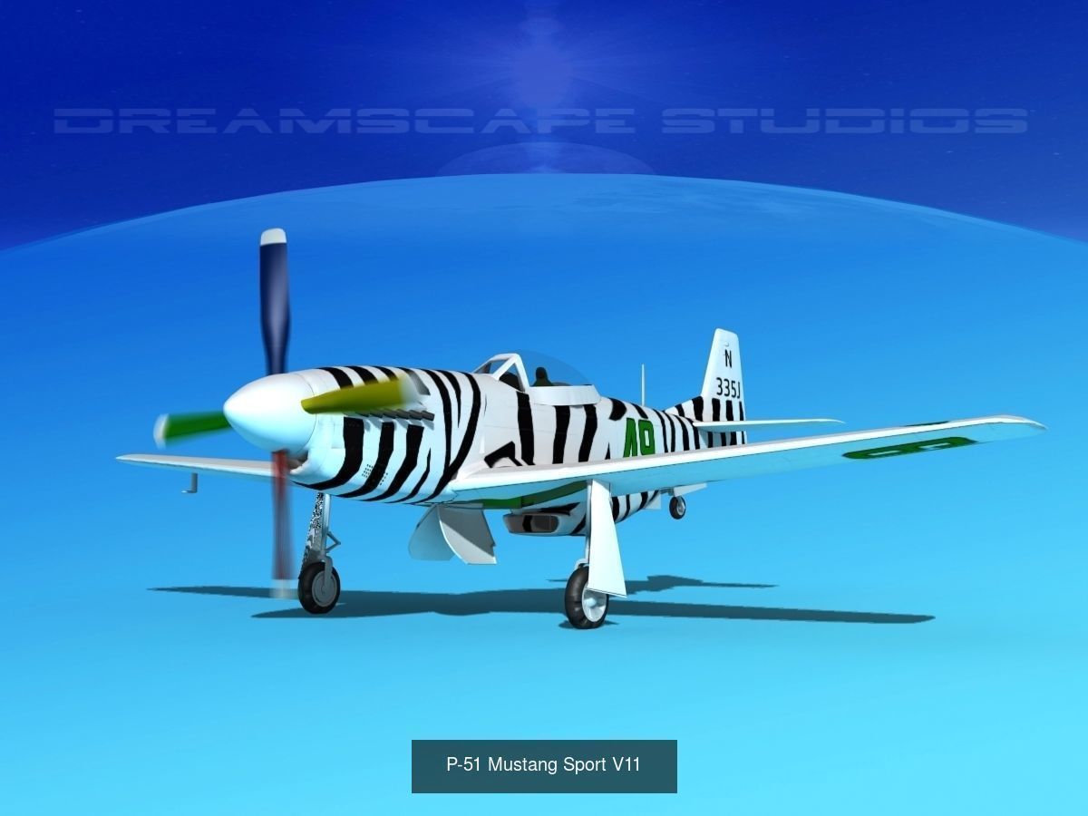 18 Mustang P-51 Air Racers 3D Model Collection_20