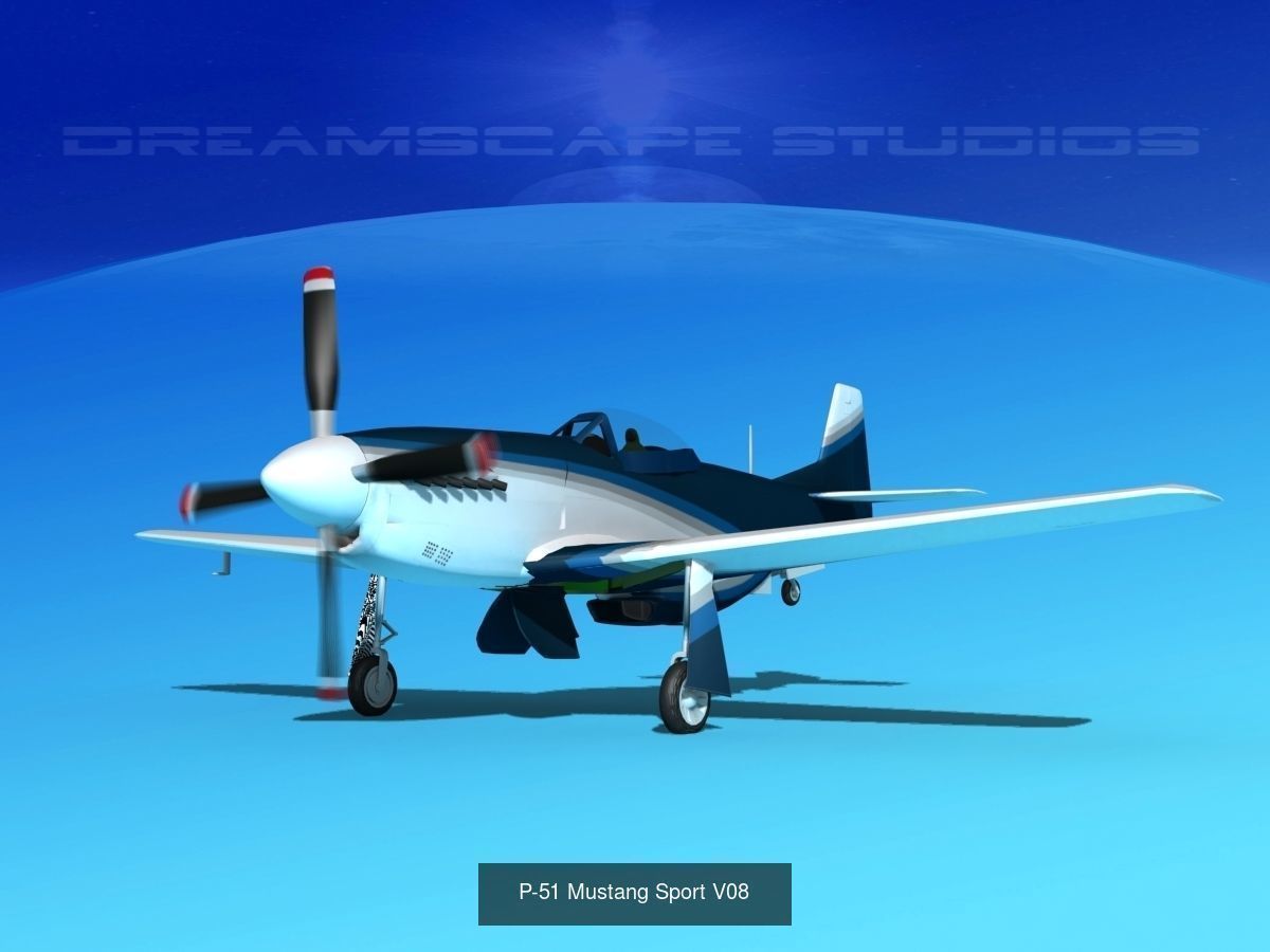 18 Mustang P-51 Air Racers 3D Model Collection_17