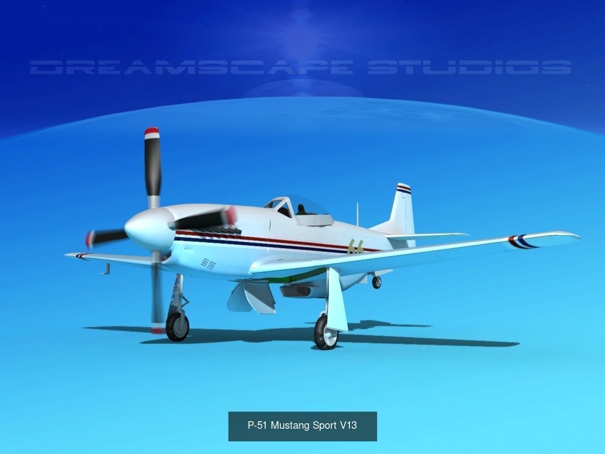 18 Mustang P-51 Air Racers 3D Model Collection_22
