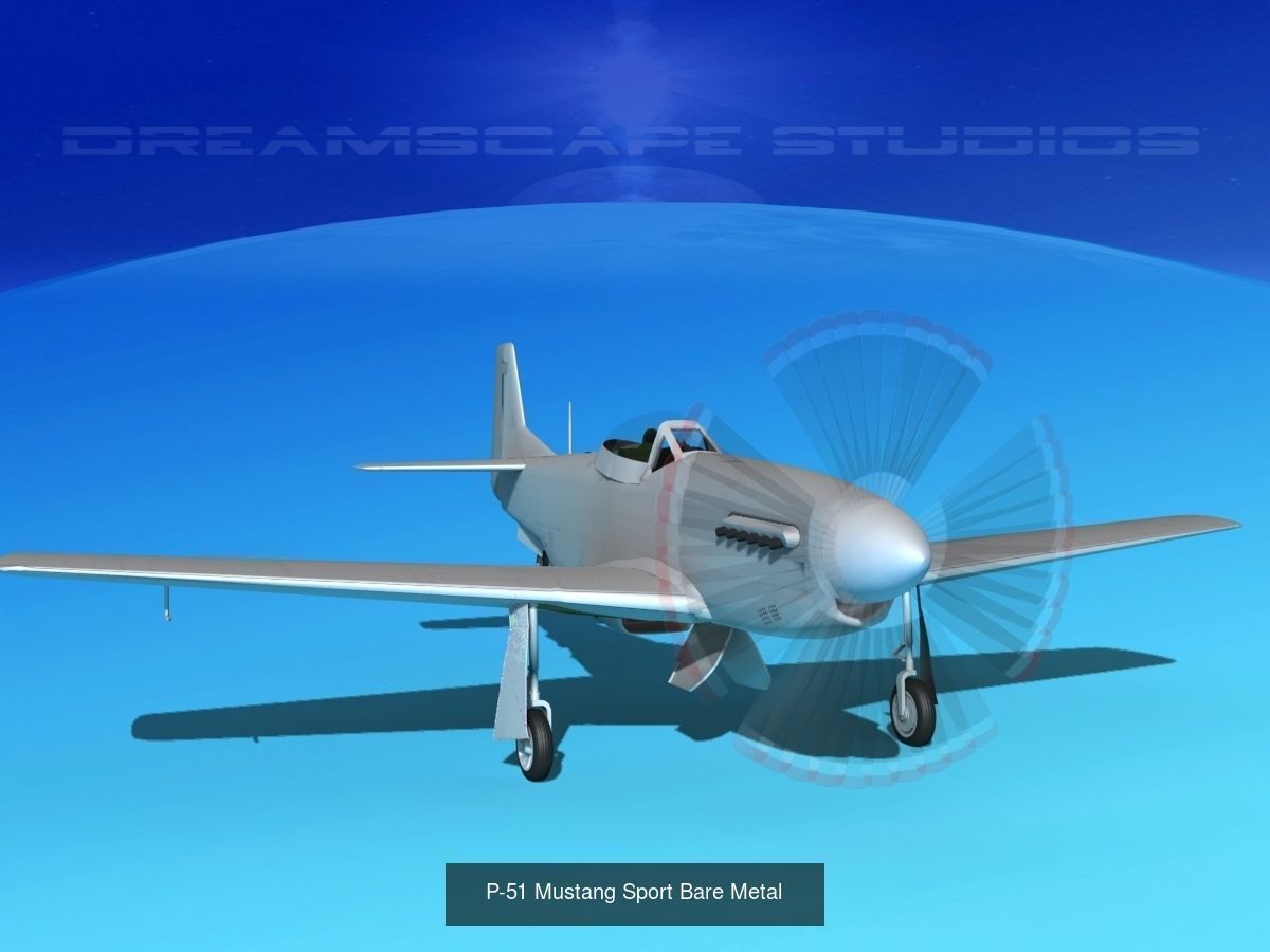 18 Mustang P-51 Air Racers 3D Model Collection_6
