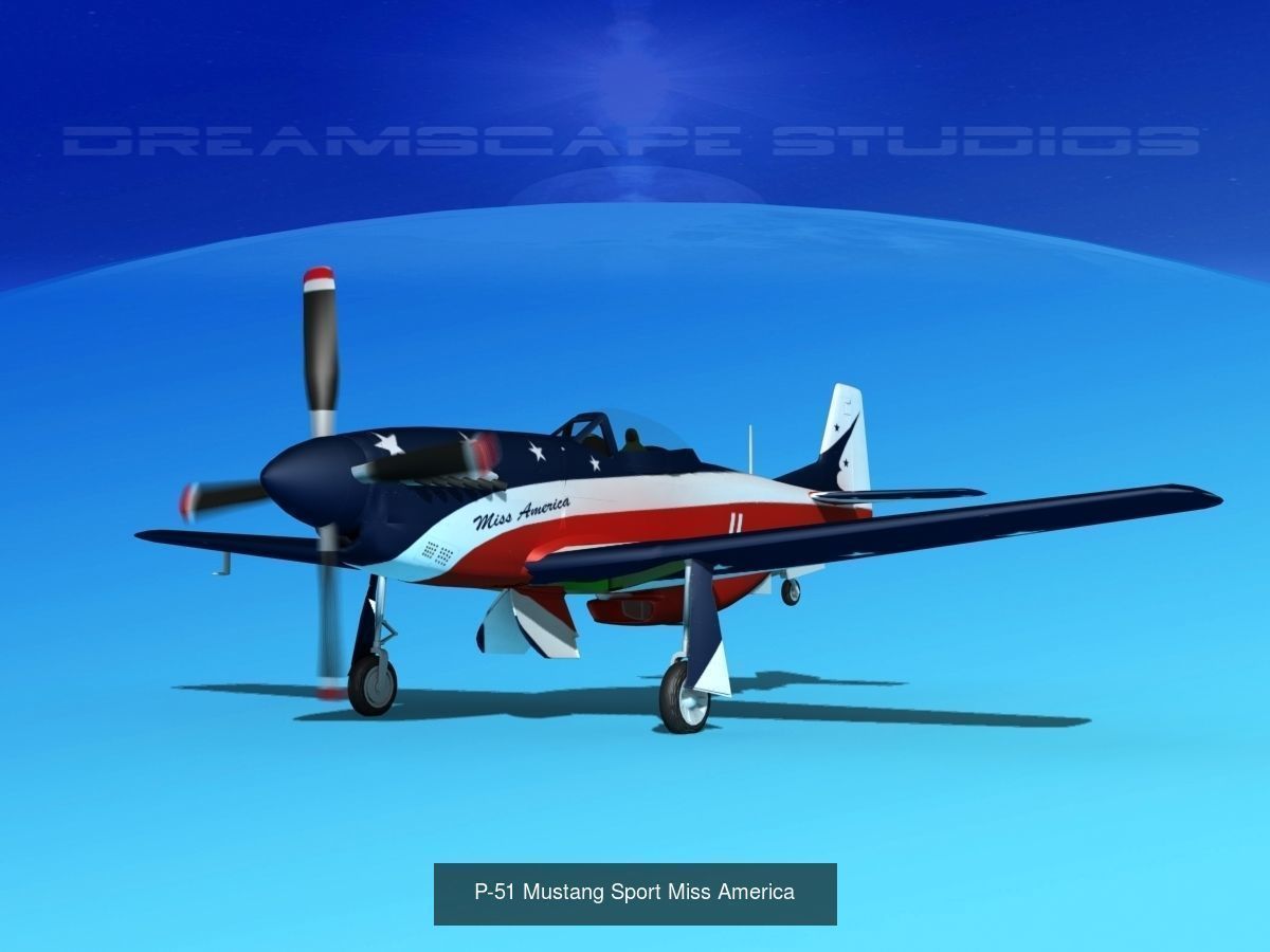 18 Mustang P-51 Air Racers 3D Model Collection_7