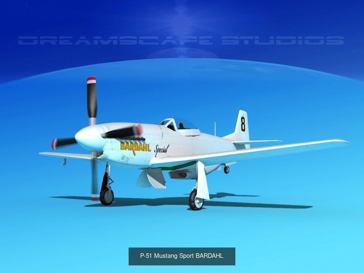 18 Mustang P-51 Air Racers 3D Model Collection_5