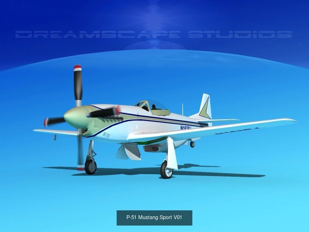 18 Mustang P-51 Air Racers 3D Model Collection_11