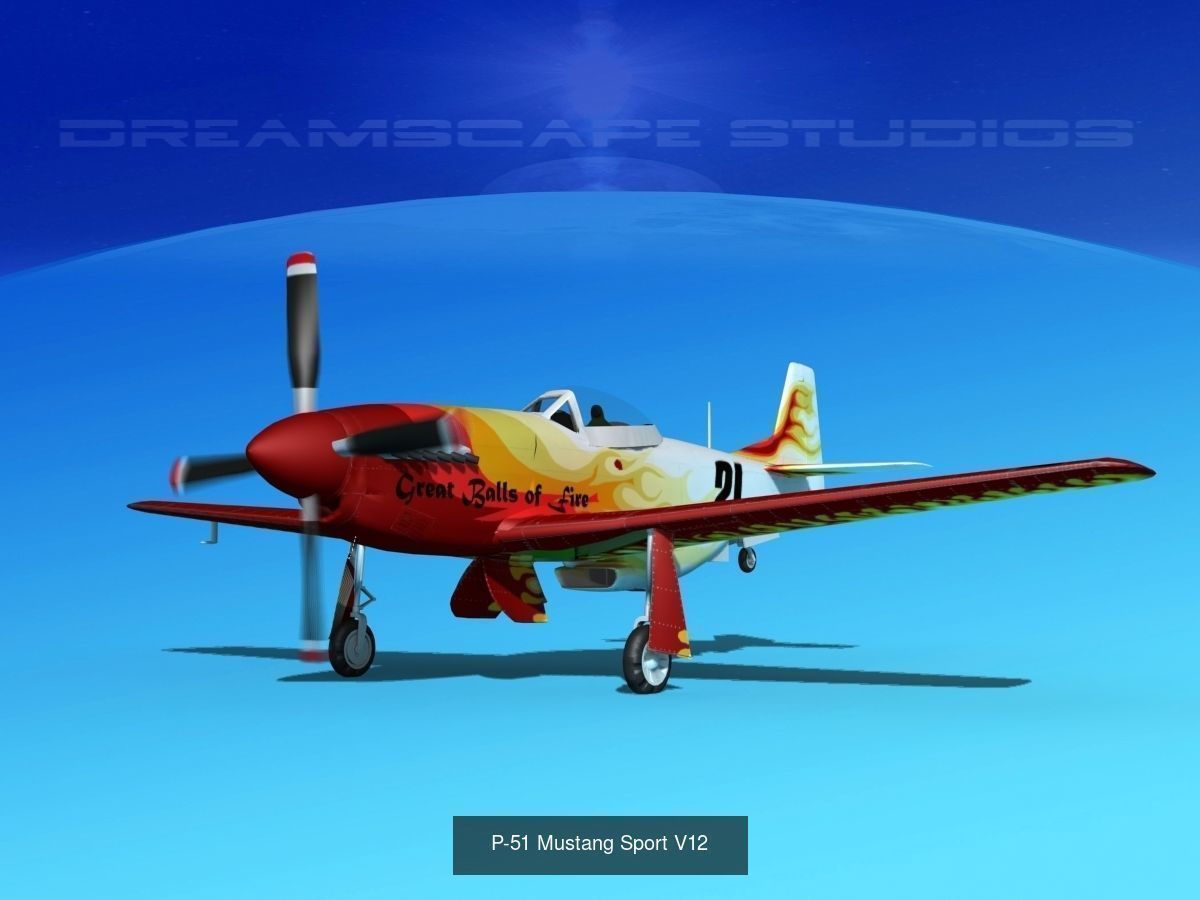 18 Mustang P-51 Air Racers 3D Model Collection_21