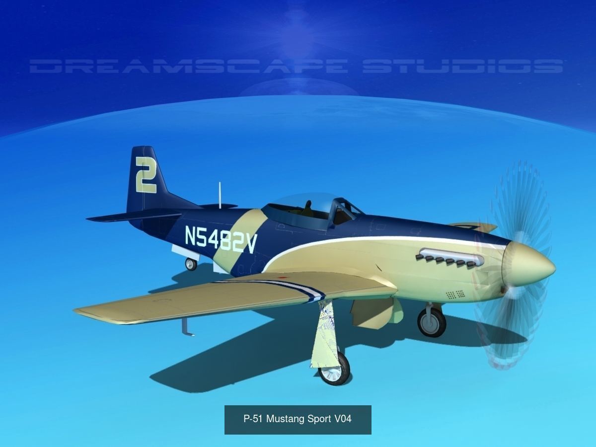 18 Mustang P-51 Air Racers 3D Model Collection_14