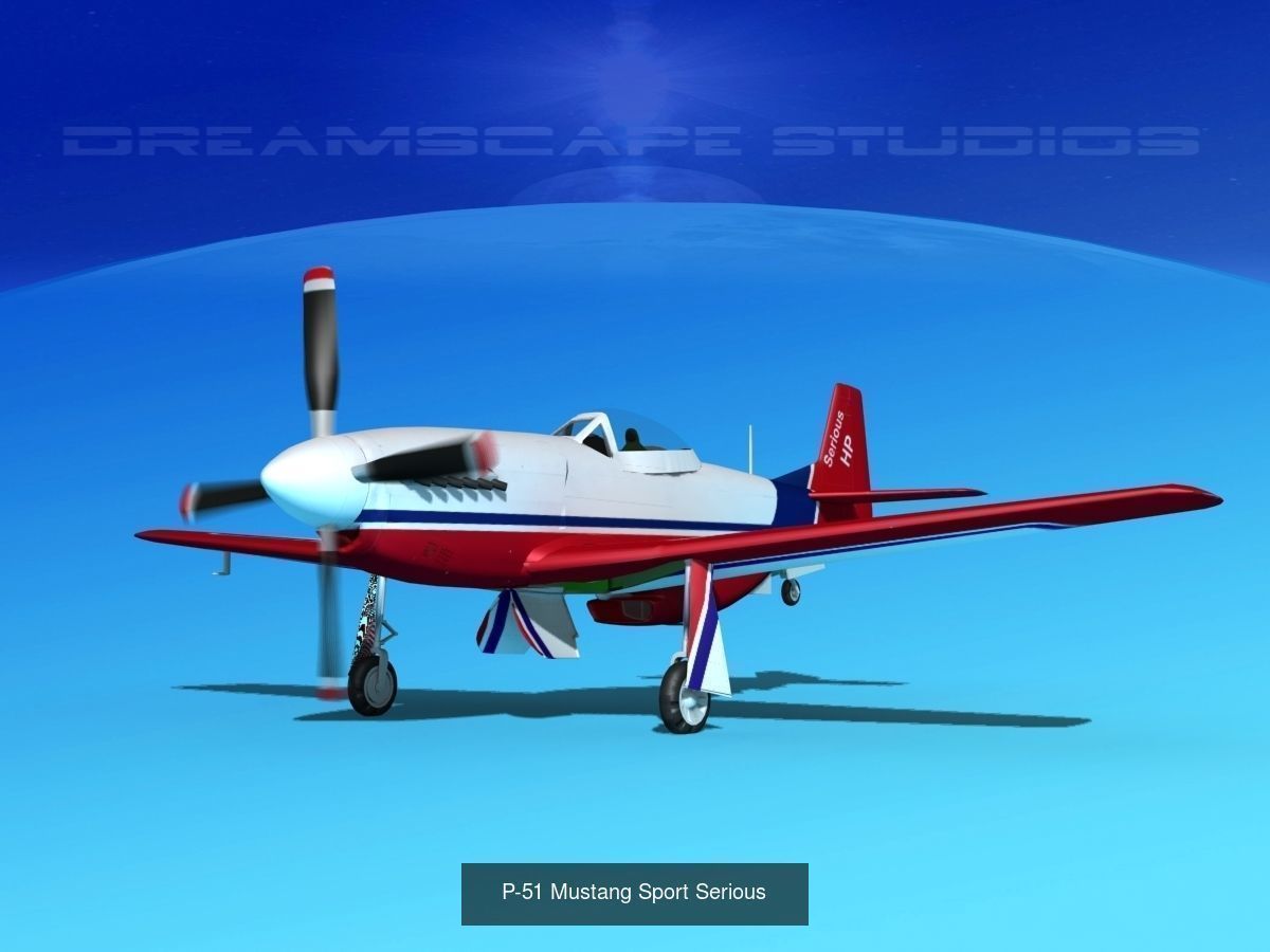 18 Mustang P-51 Air Racers 3D Model Collection_10