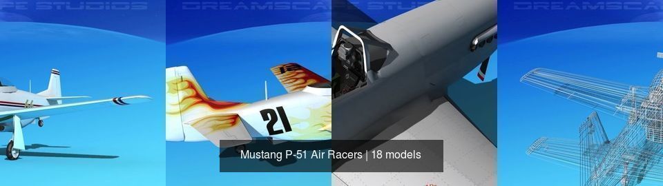 18 Mustang P-51 Air Racers 3D Model Collection_4
