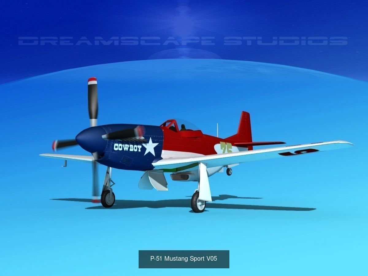 18 Mustang P-51 Air Racers 3D Model Collection_15