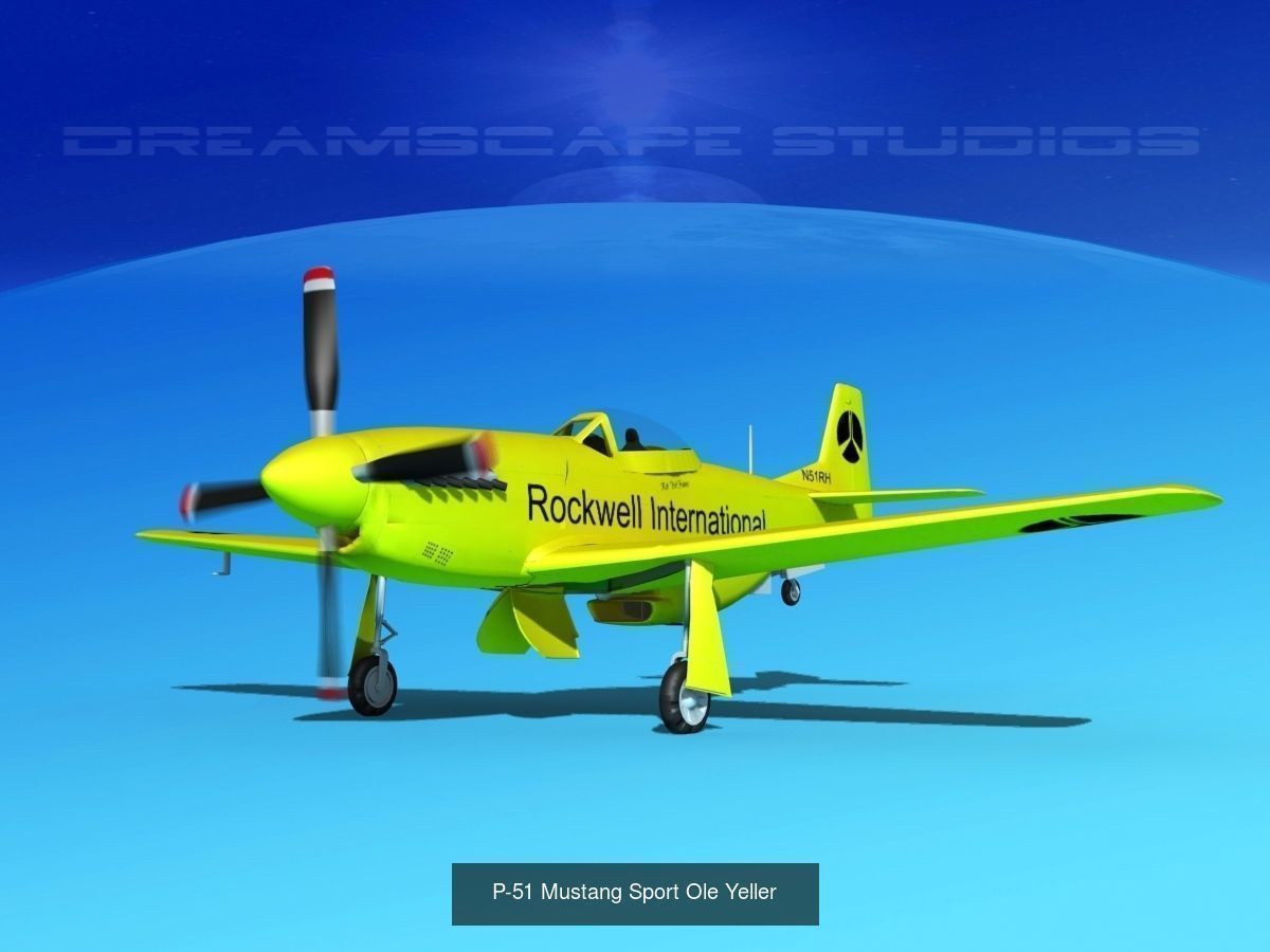 18 Mustang P-51 Air Racers 3D Model Collection_8
