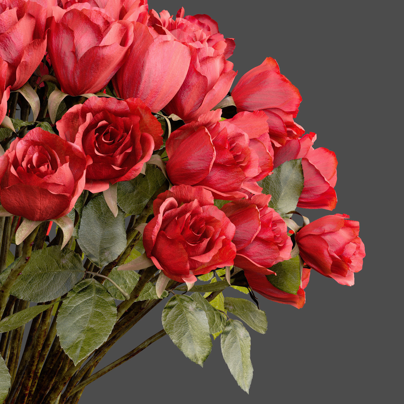 Bouquet of red roses 3D model_1