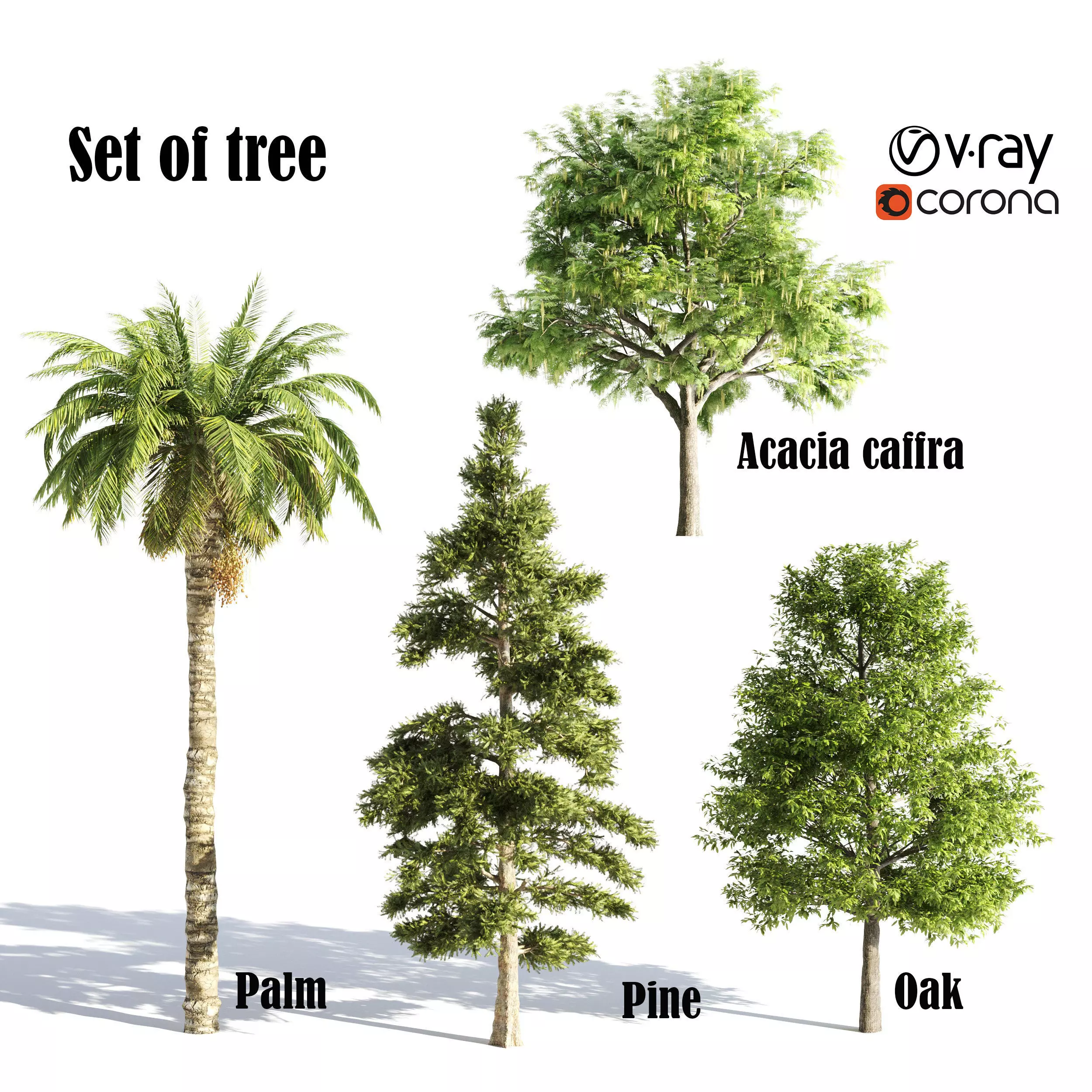 Different Tree Model 4 diffrent tree 3D model | CGTrader