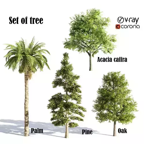 4 diffrent tree 3D model