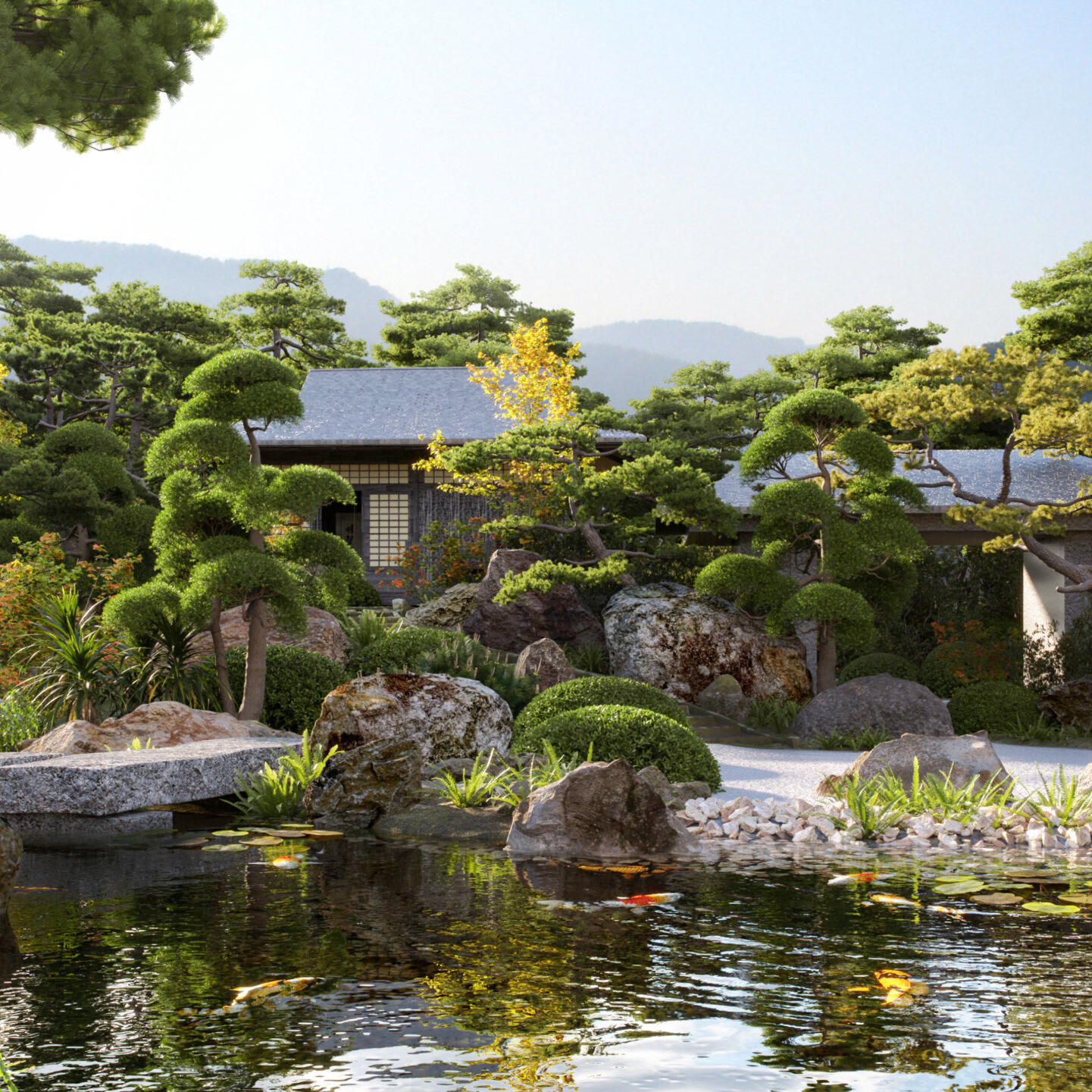 Podocarpus macrophyllus 05 3D model_1