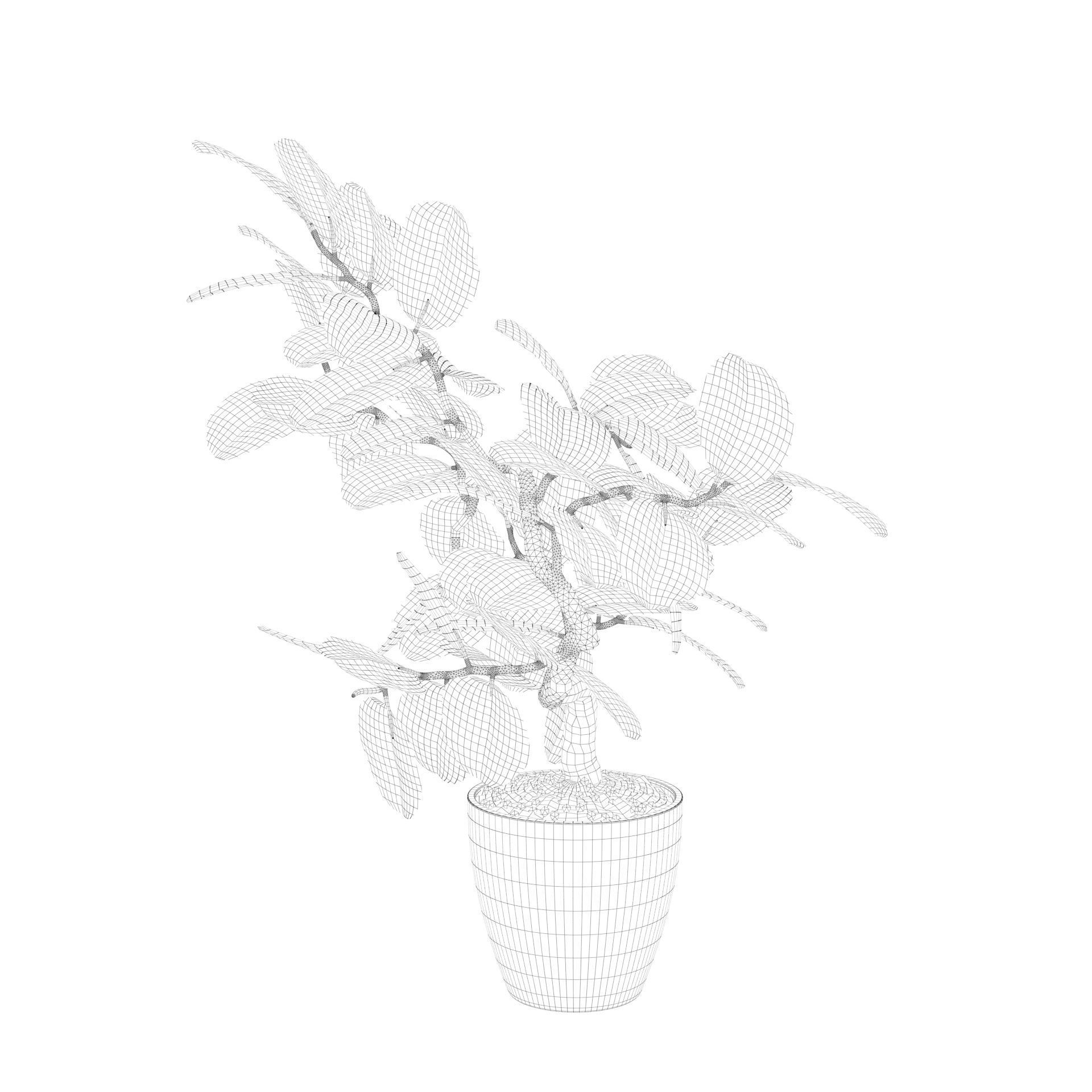 ficus benghalensis 3D model_38