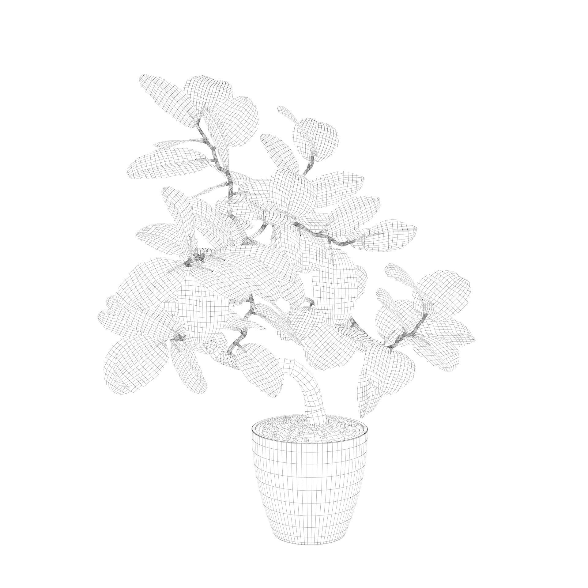 ficus benghalensis 3D model_31