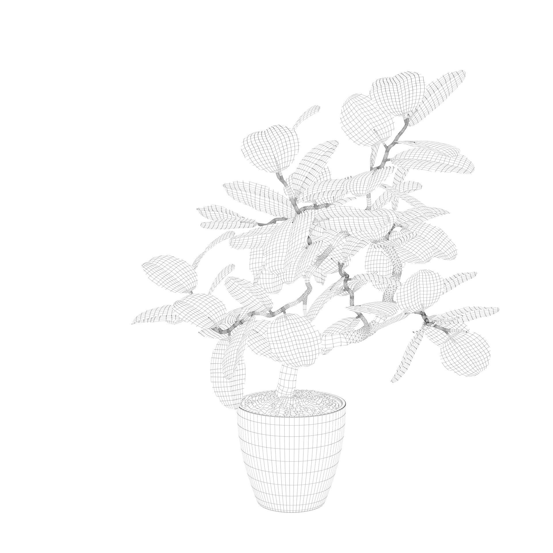 ficus benghalensis 3D model_28