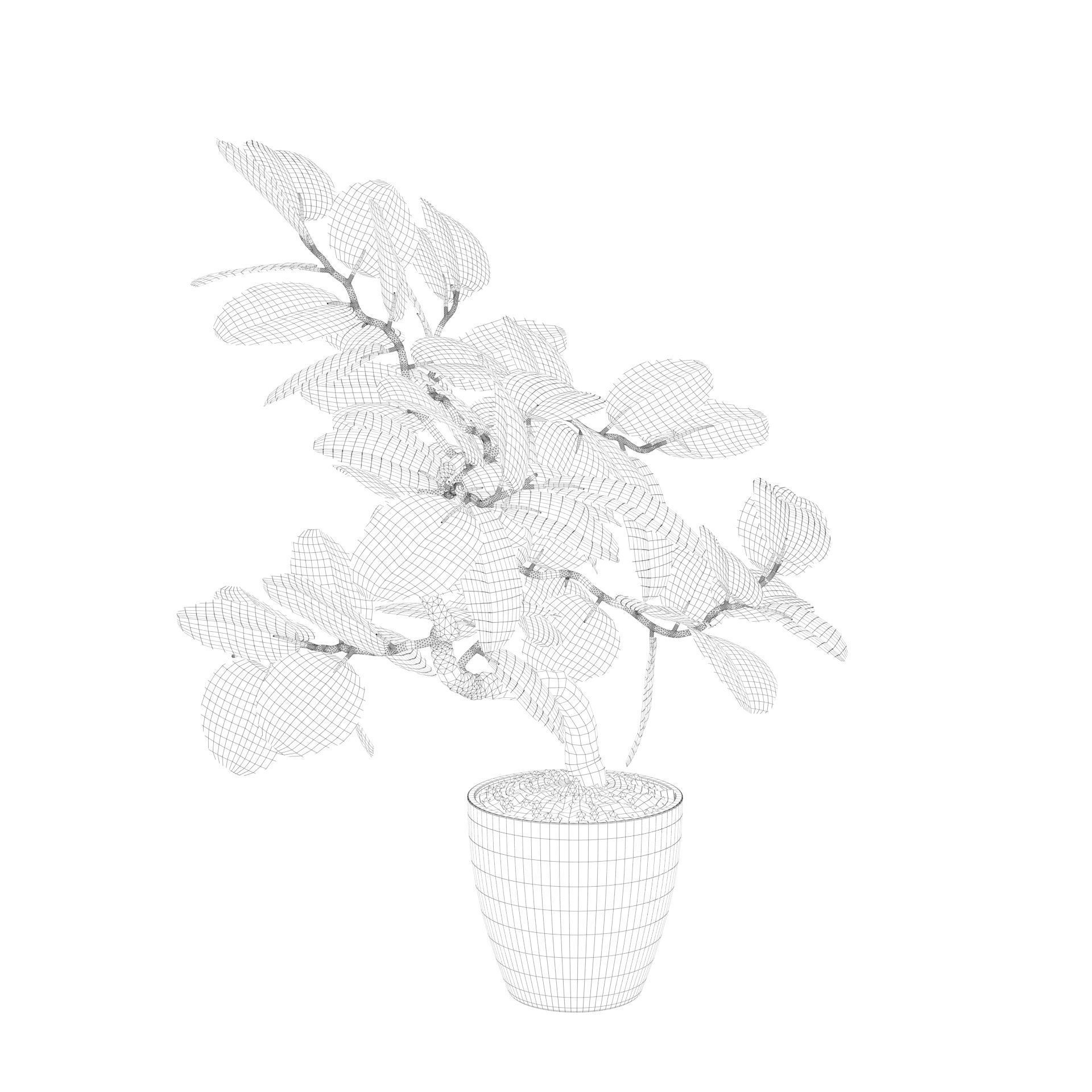 ficus benghalensis 3D model_32