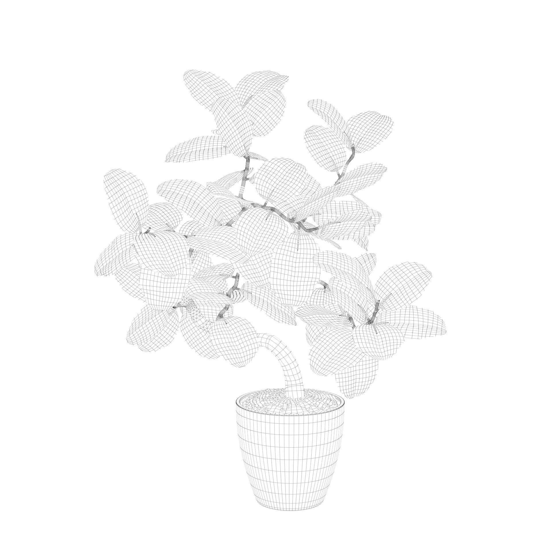 ficus benghalensis 3D model_55