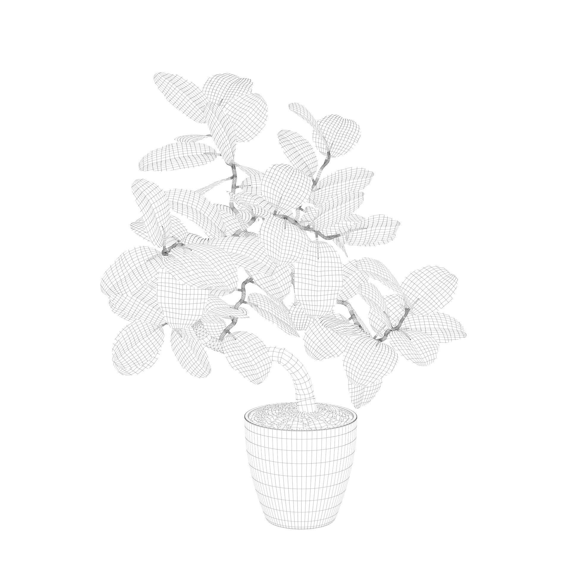 ficus benghalensis 3D model_36