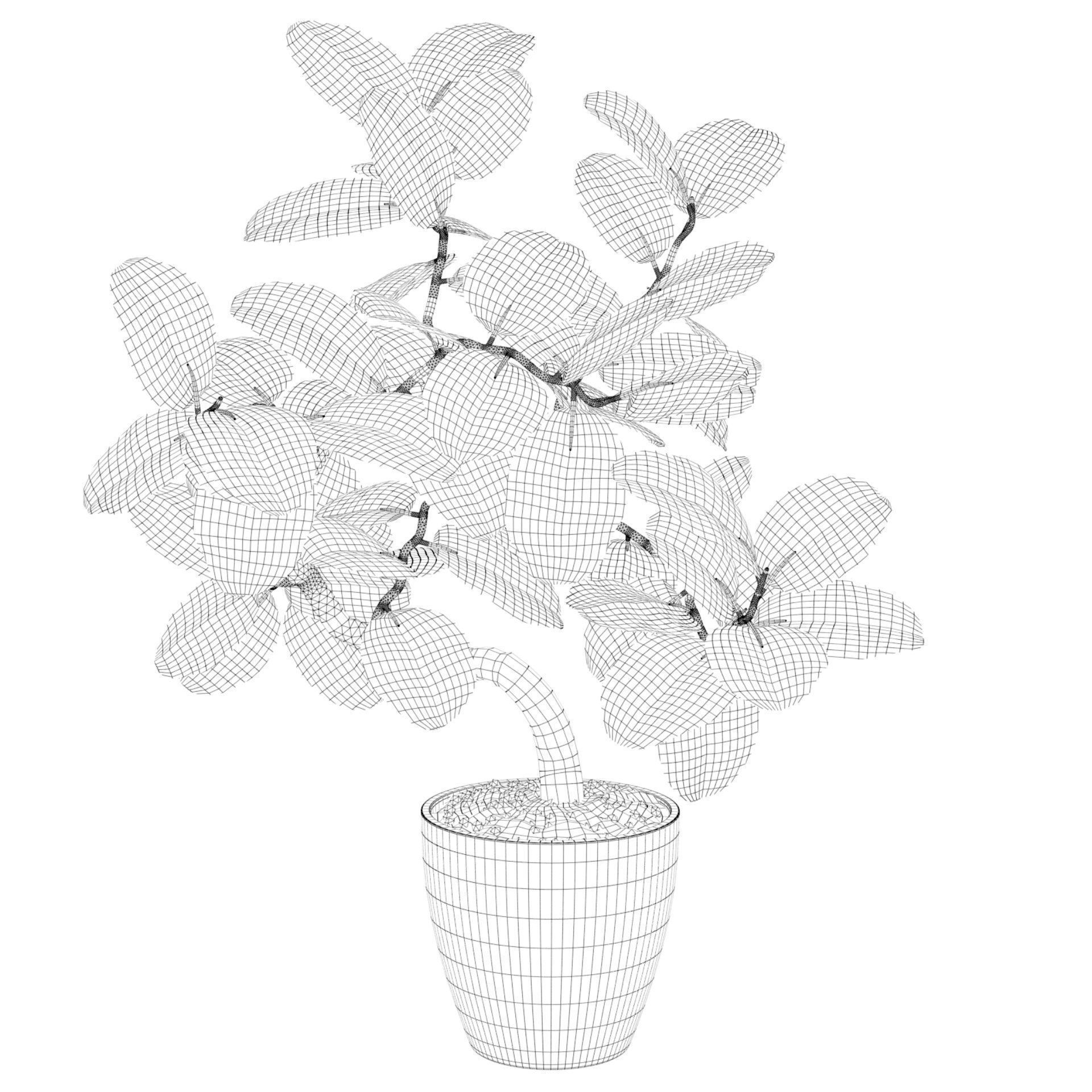 ficus benghalensis 3D model_22