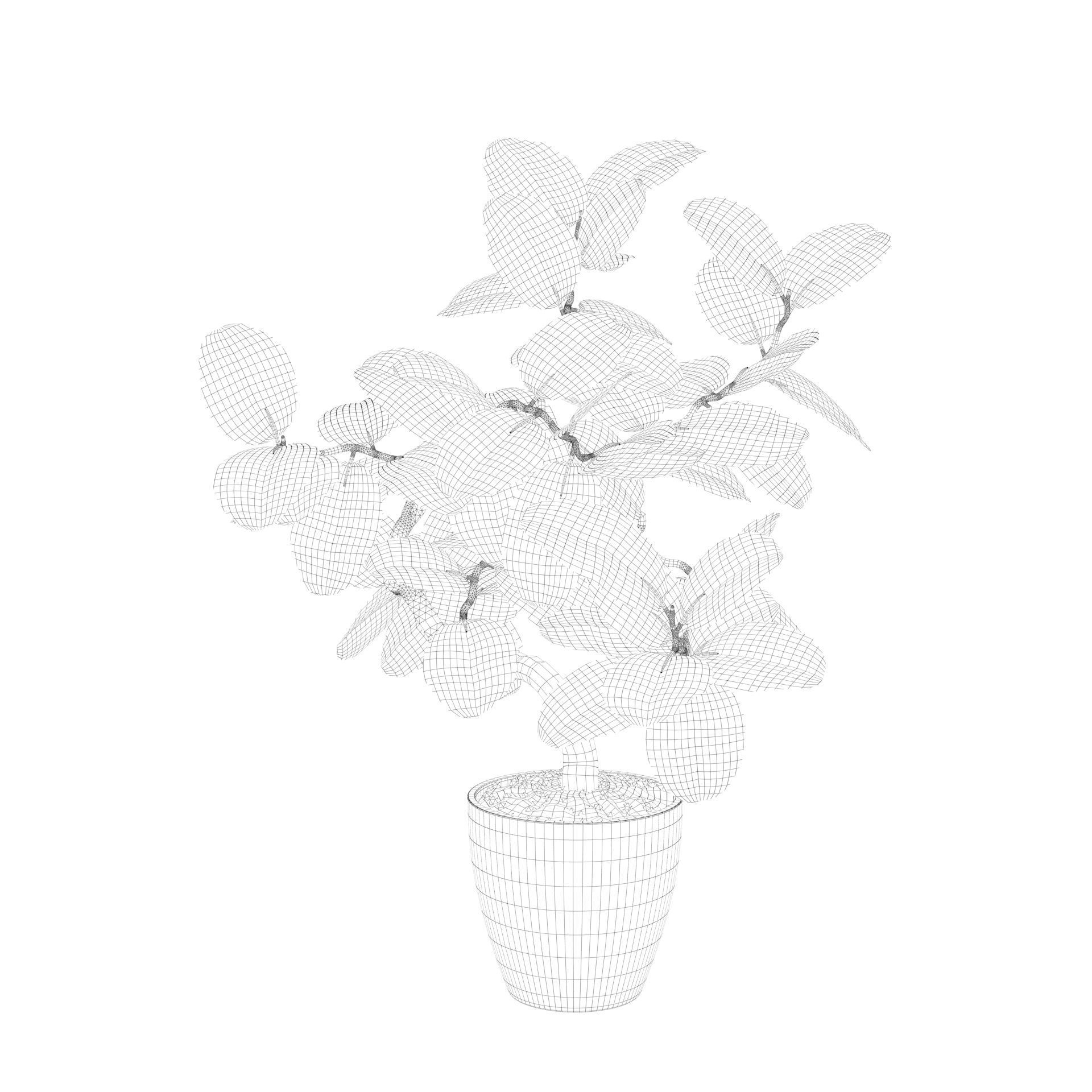 ficus benghalensis 3D model_14