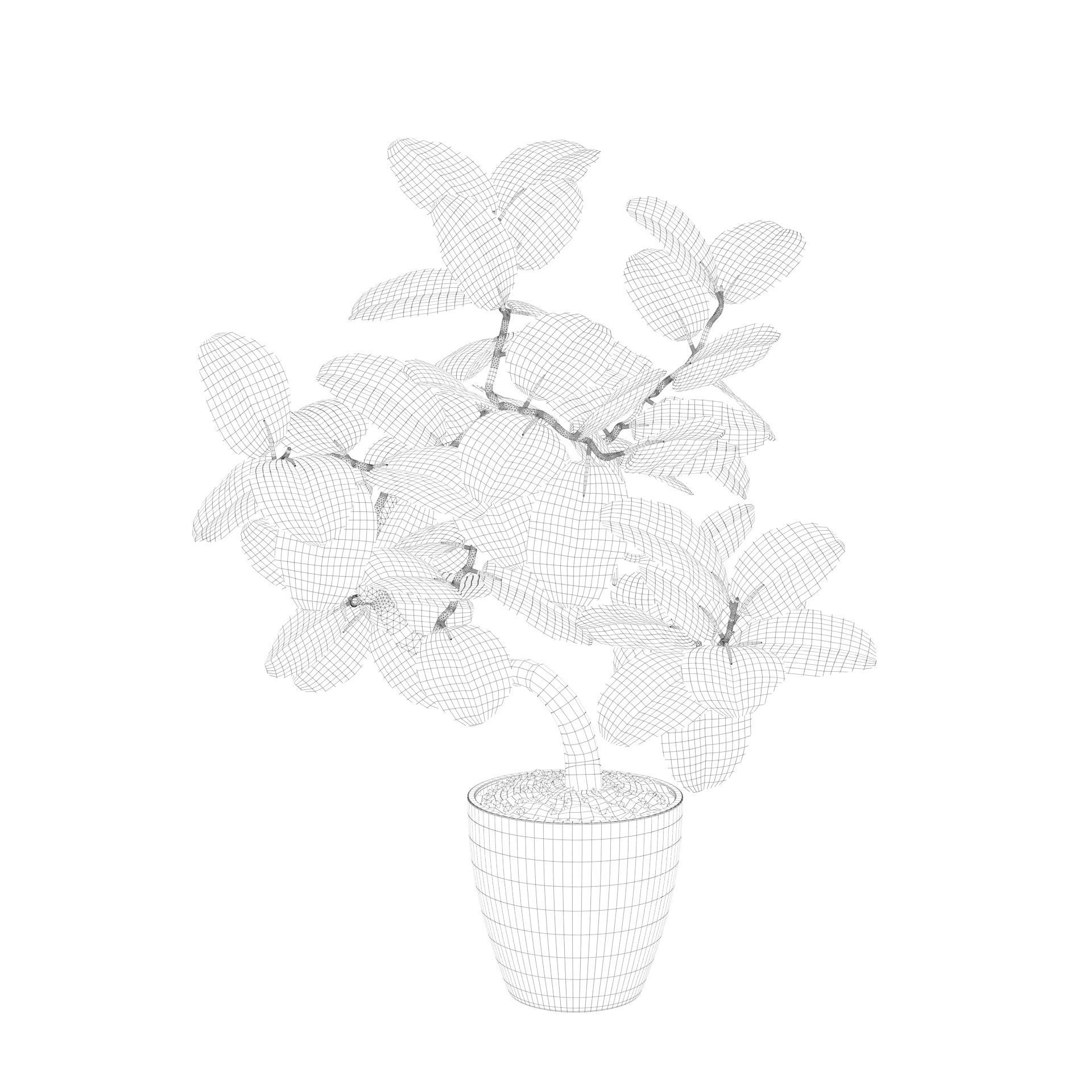 ficus benghalensis 3D model_54