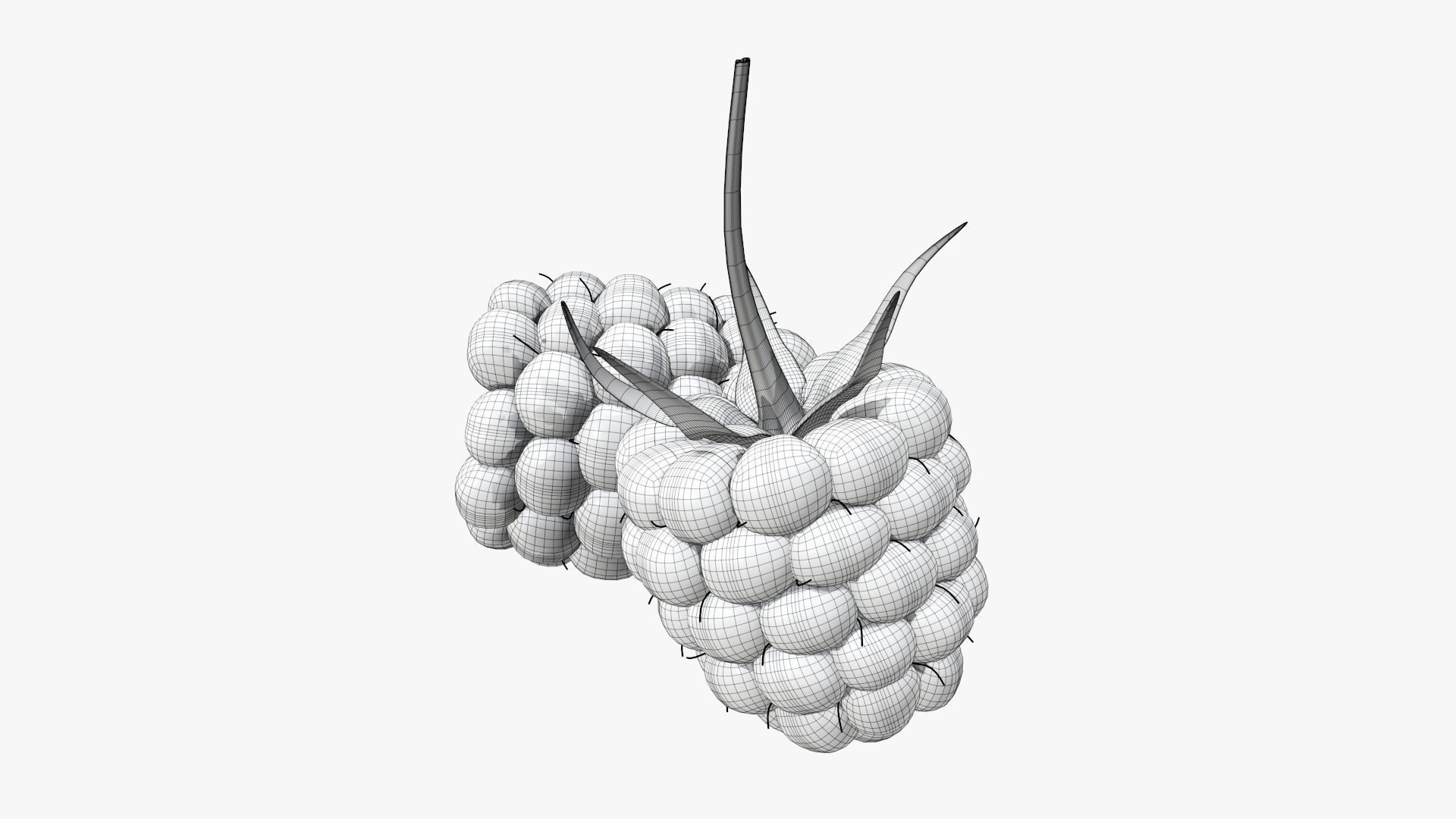 Blackberry two blackberries 3D model_7